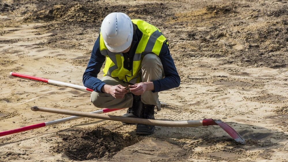    Фото: Daan Kloeg/Shutterstock/Fotodom