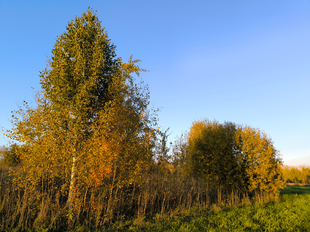 Медь и латунь