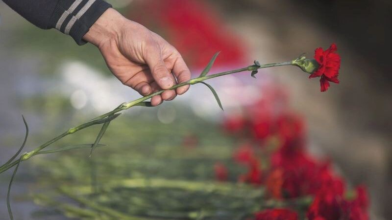    Фото: Said M / Shutterstock / Fotodom