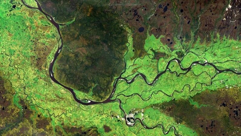    Фото: Voran / Shutterstock / Fotodom