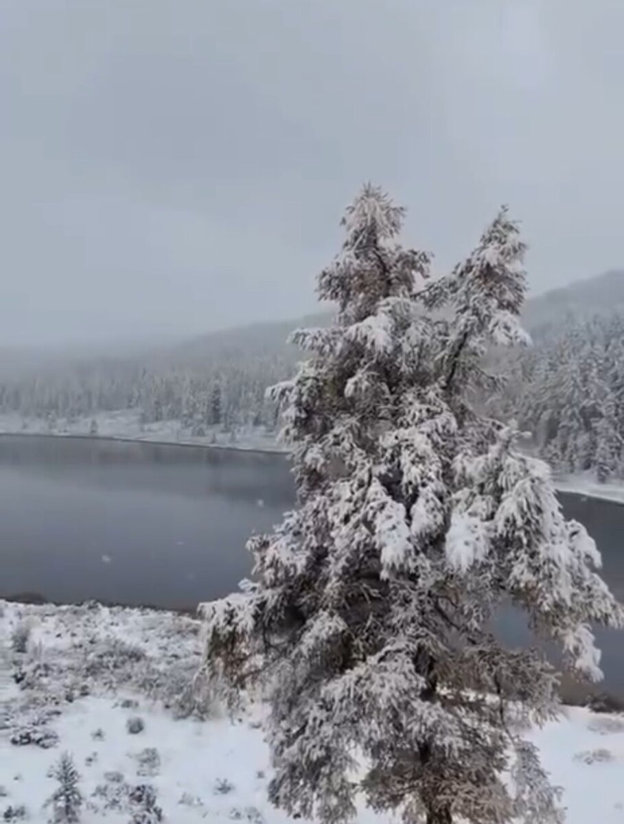    Снег в Горном Алтае. Источник: "Наш Алтай | Горно-Алтайск"