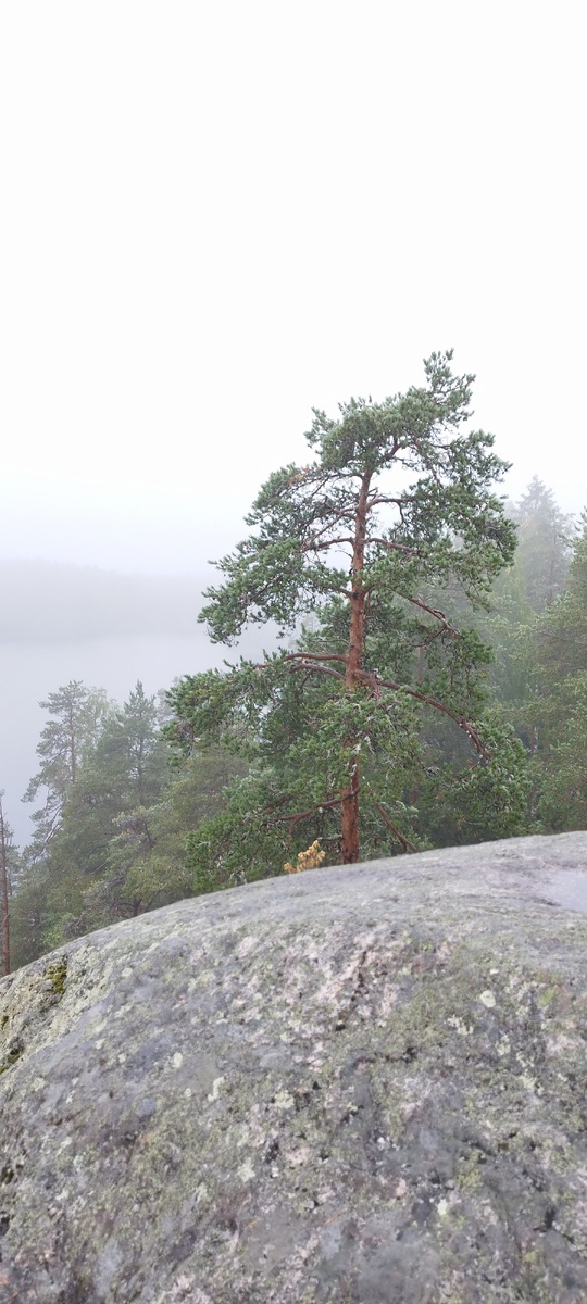 На вершине скалы Парнас