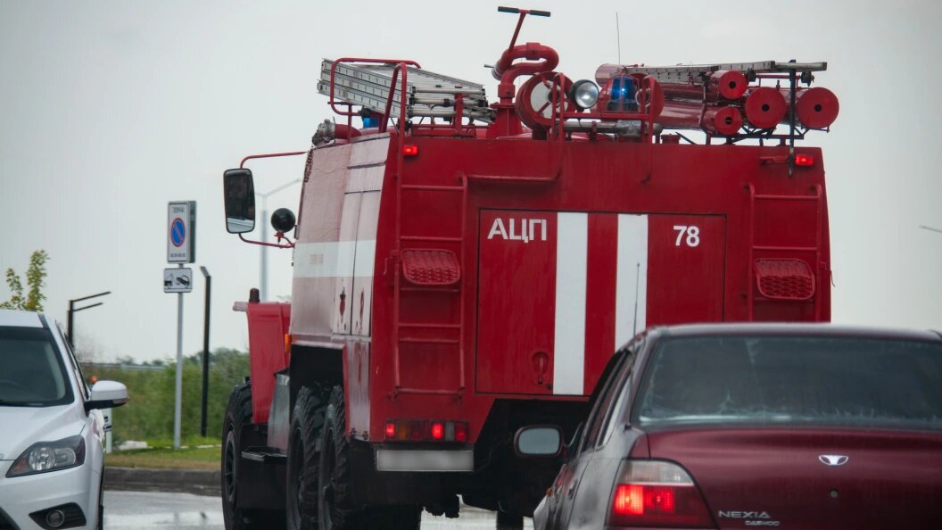    Фото: Svetlana Vozmilova/Globallookpress