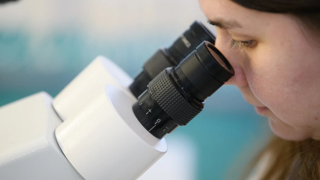    Ilya Moskovets/Globallookpress