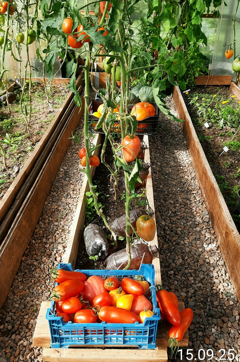 Фото автора.