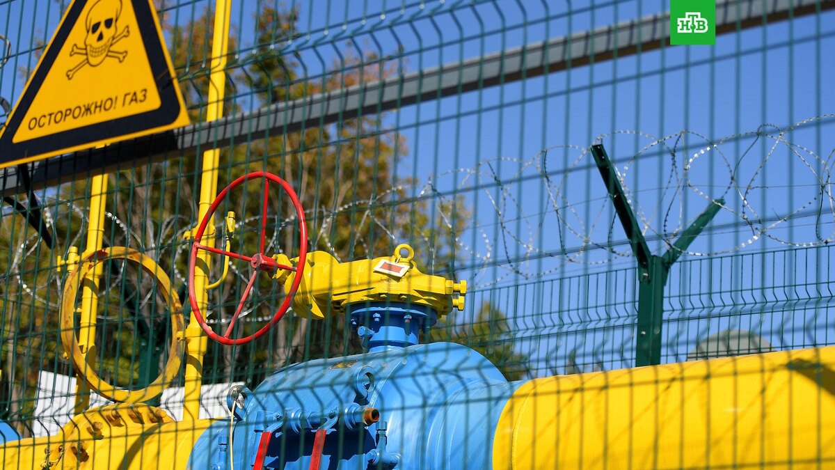    Фото: РИА Новости © 2025, Максим Богодвид