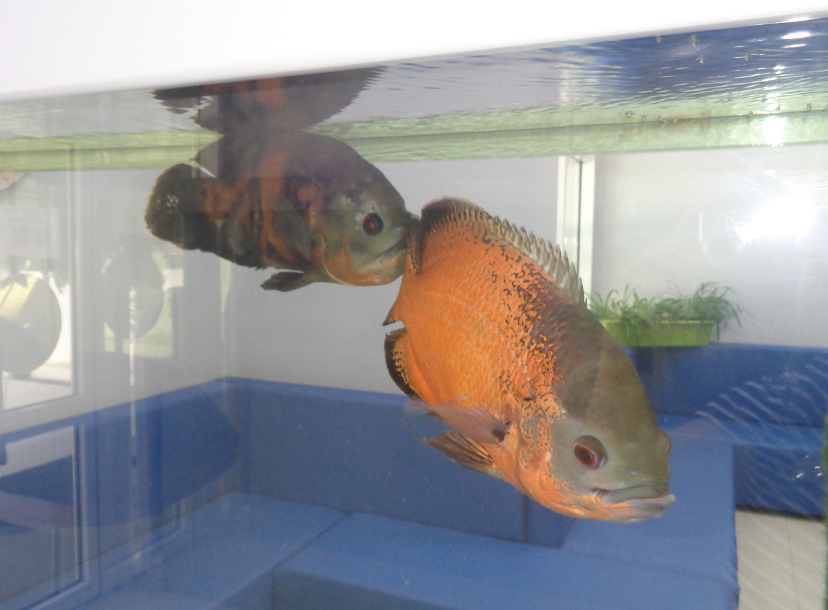 Фото автора. Сентябрь 2025 год.