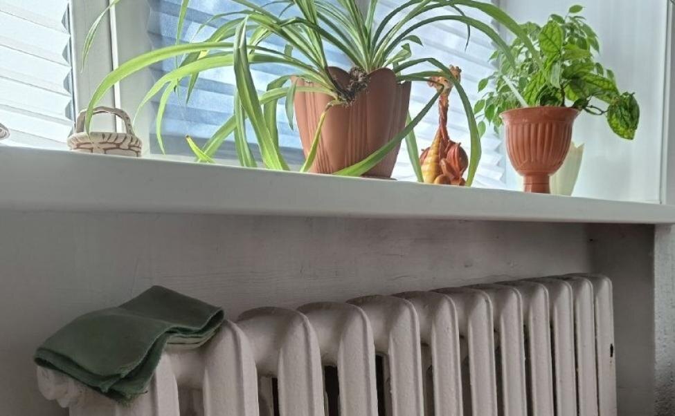    Фото из архива редакции