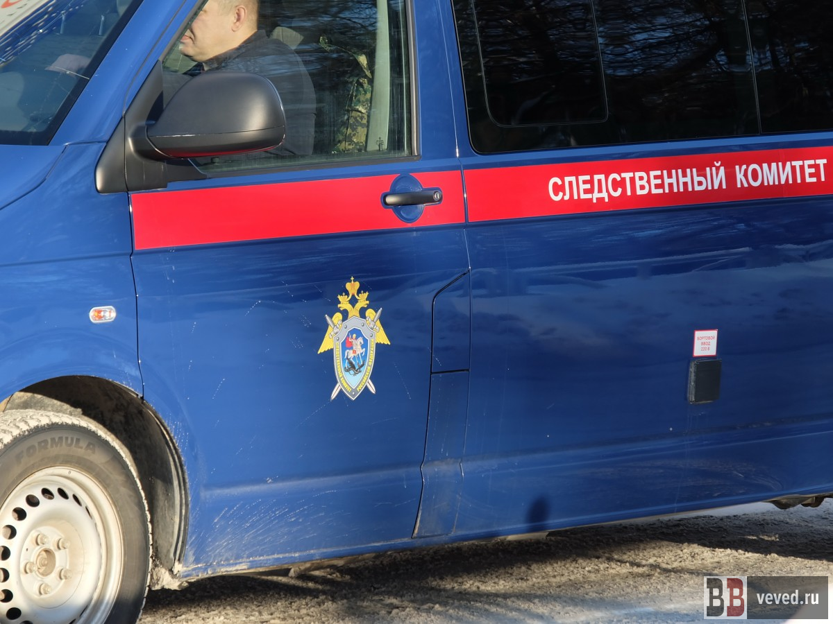     Фото: Владислав Постников / Вечерние ведомости