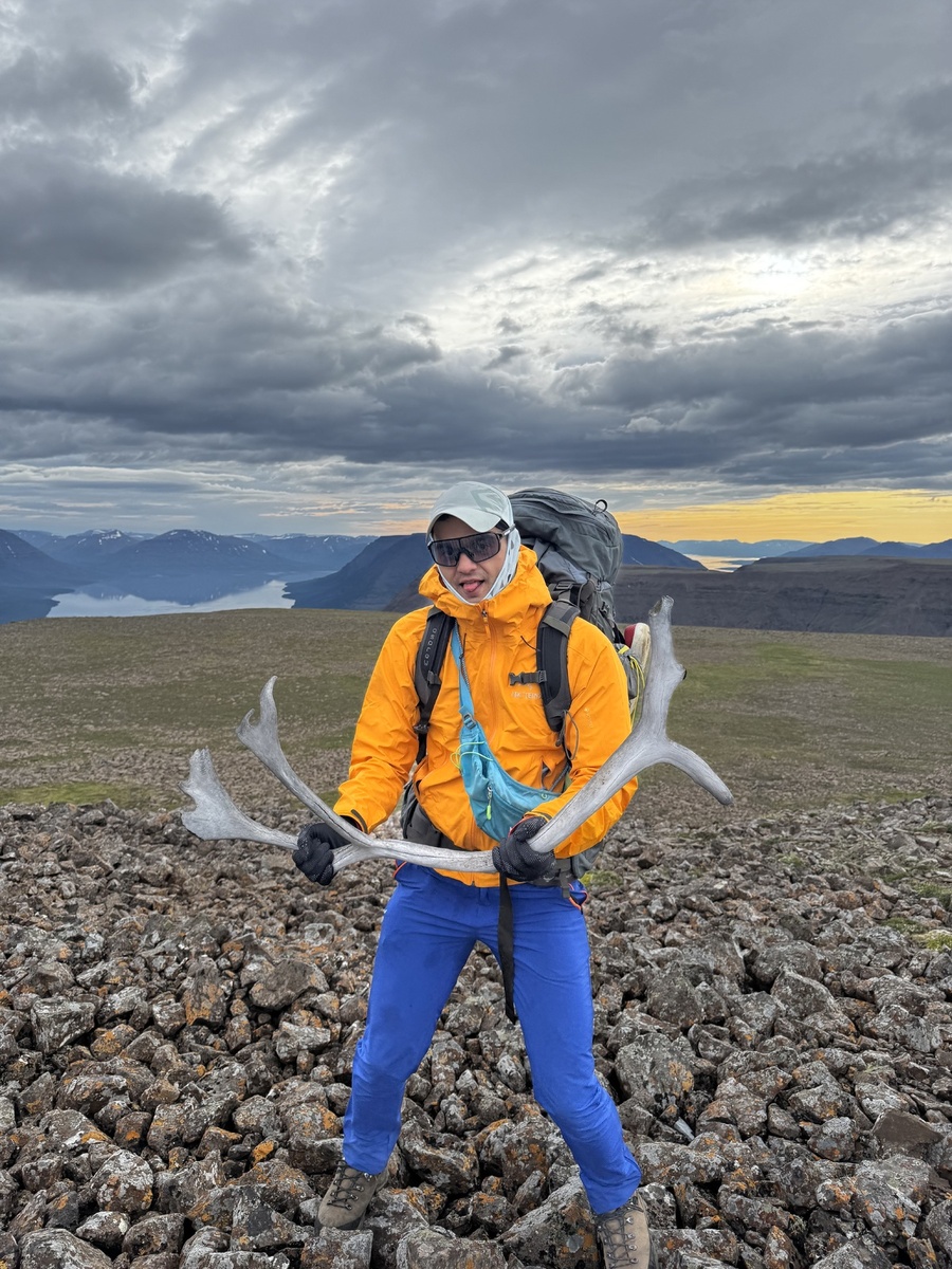 несколько раз за поход мы встречали рога оленей и лосей