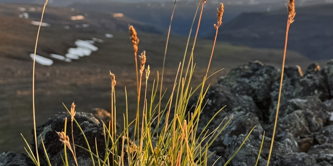 Путорана. Пересекая Плато
