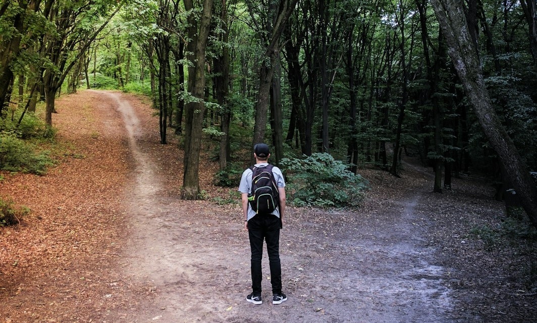 Источник: unsplash.com