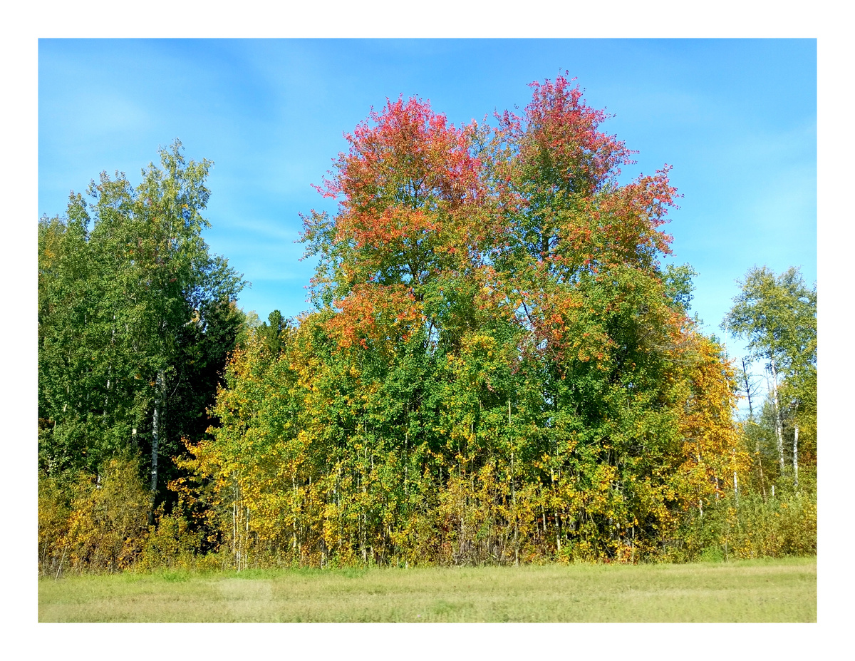 Фото автора.
