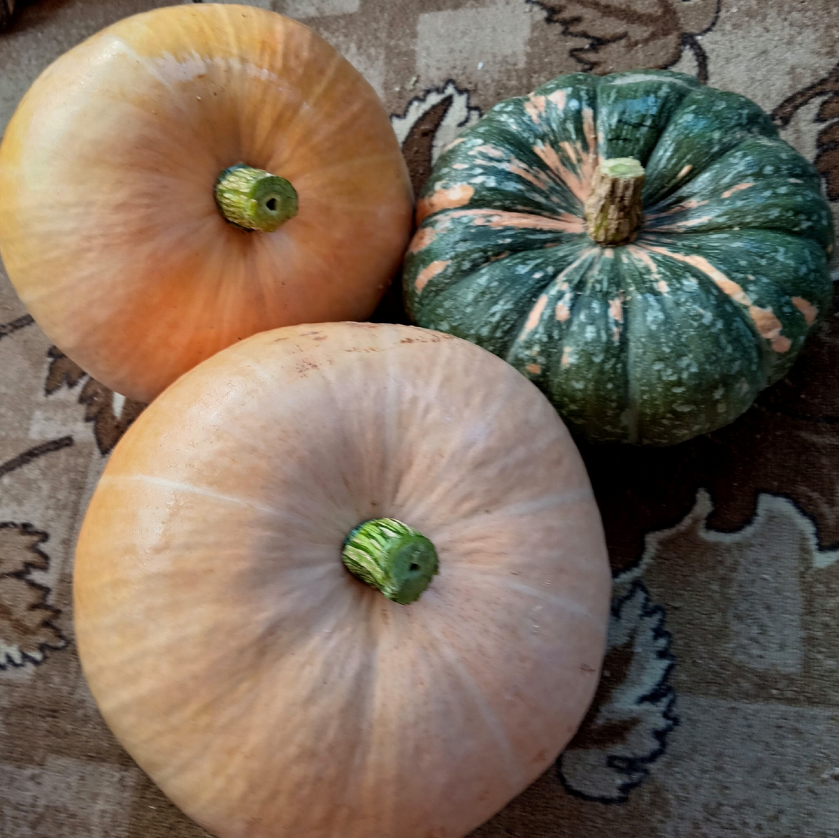 Фото автора.