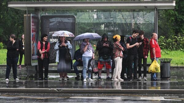    © Sputnik / Кирилл Каллиников