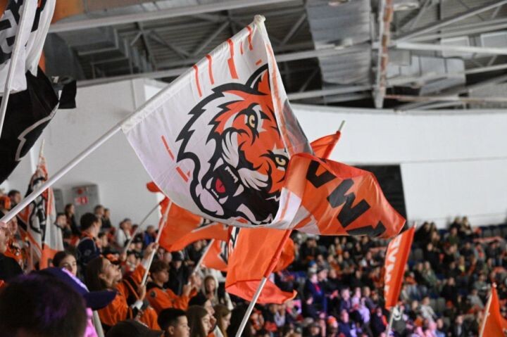    Фото:Антон Шевченко / khabkrai.ru