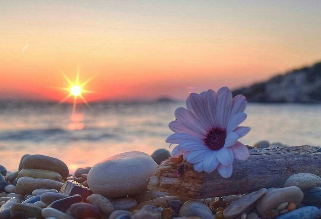 (Картинка из интернета) 