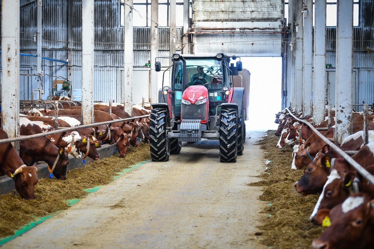    Трактор Massey Ferguson. Фото: "Республика"/ Сергей Юдин