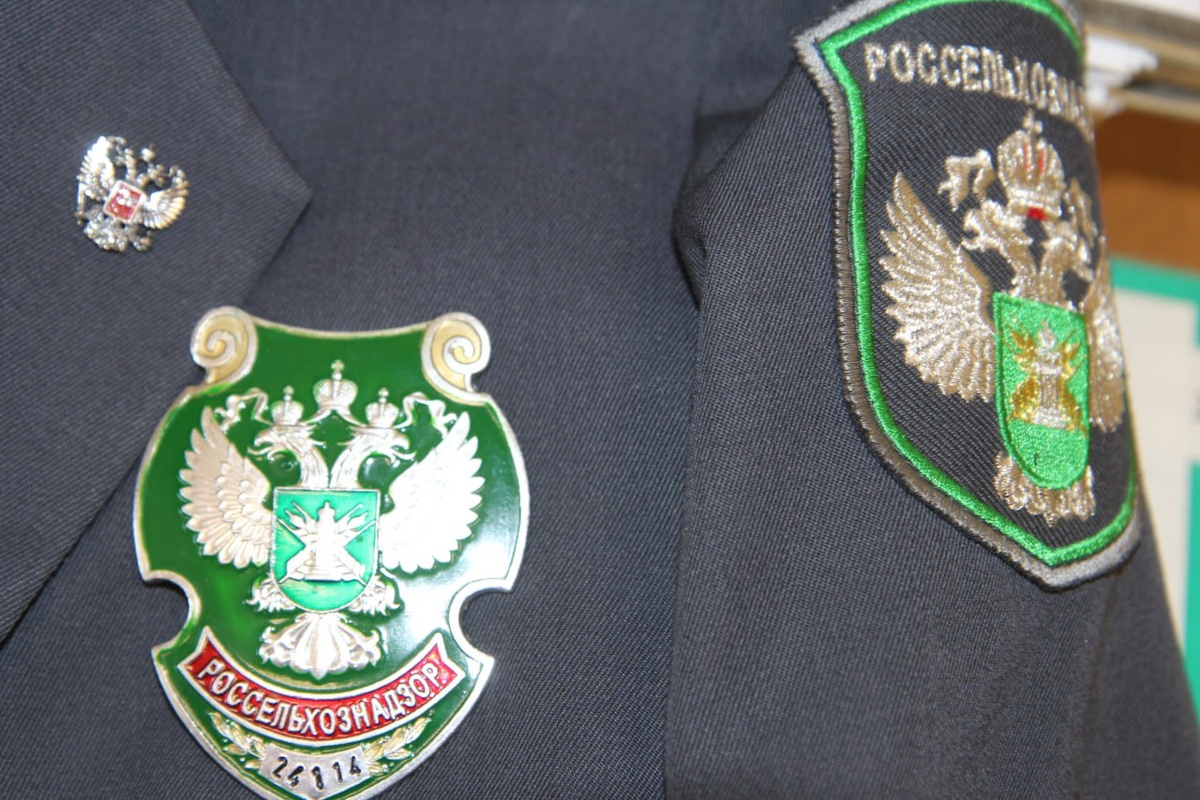     Производитель из Железногорска добавлял в пельмени незаявленную свинину