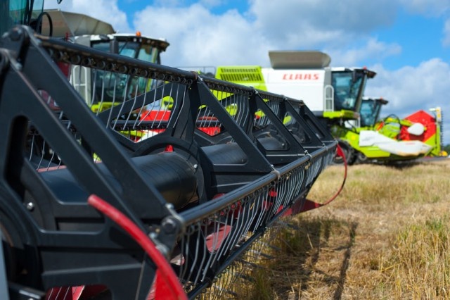   Фото из архива Калининград.Ru