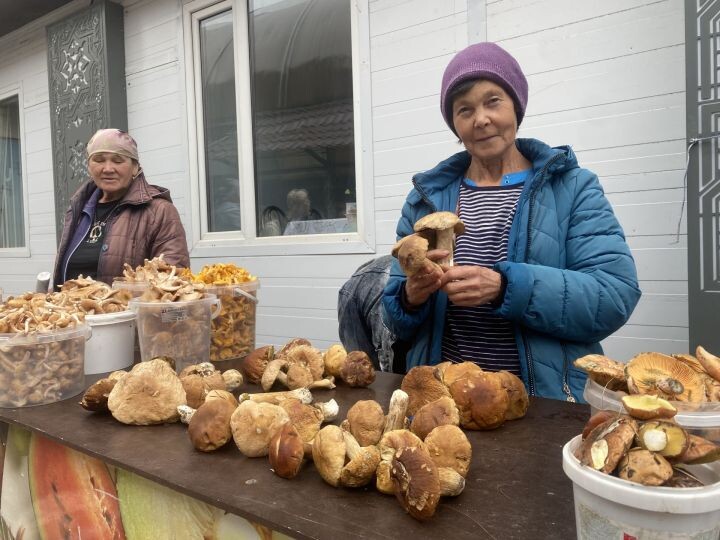 Тому, сколько в этом году грибов, удивляется и Галина Ивановна – грибник с 30-летним стажем!