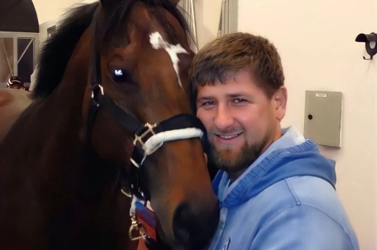    Кадыров рассказал, как обхитрил СБУ и вернул похищенного в Чехии коня