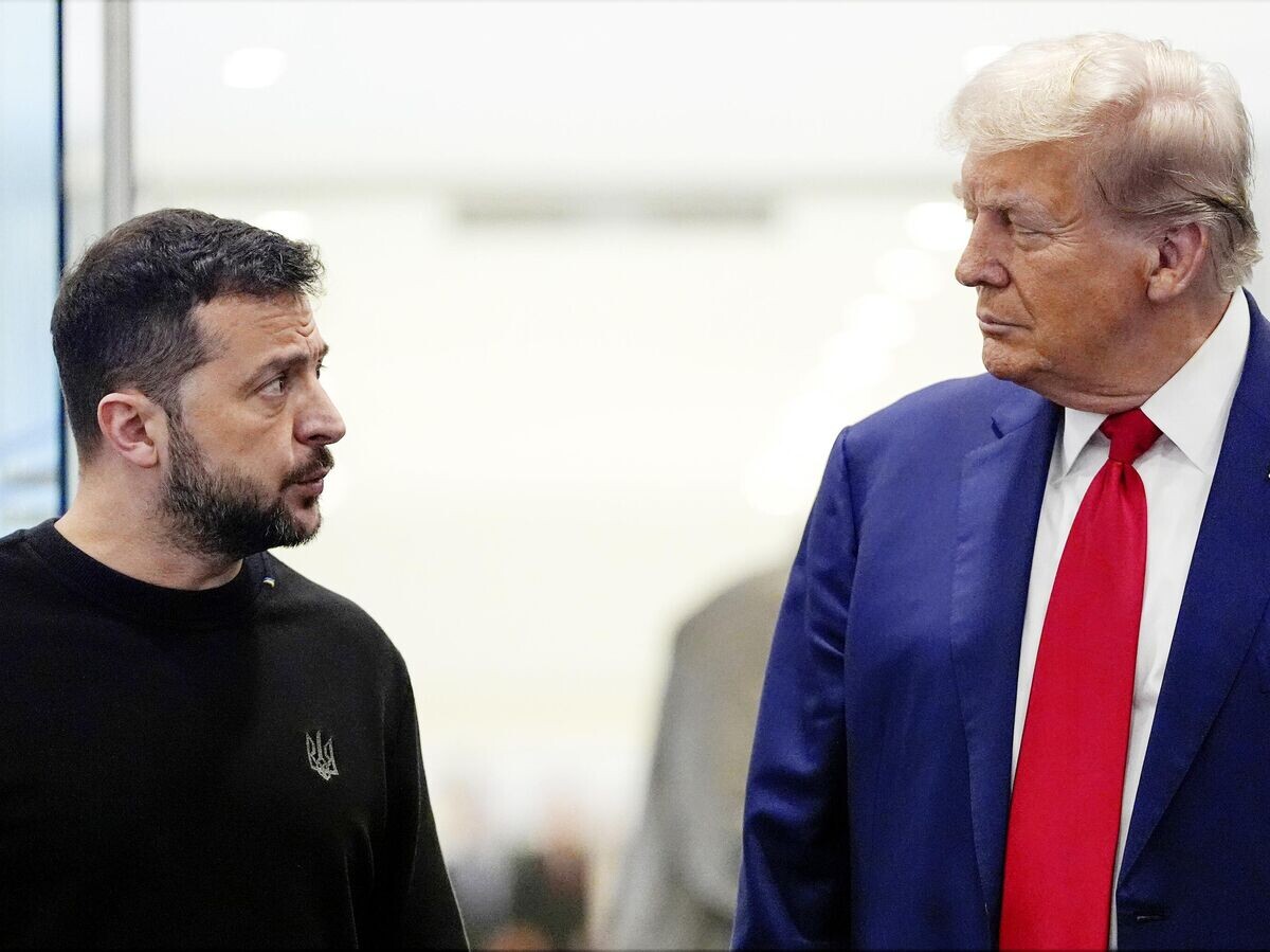    Дональд Трамп и Владимир Зеленский© AP Photo / Julia Demaree Nikhinson