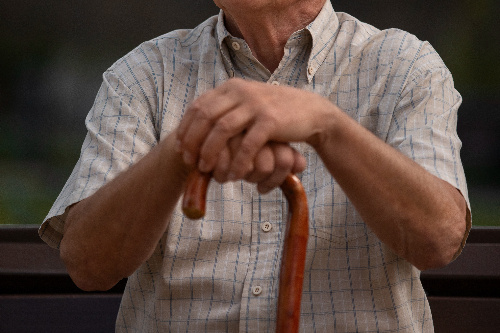    Фото: freepik. com