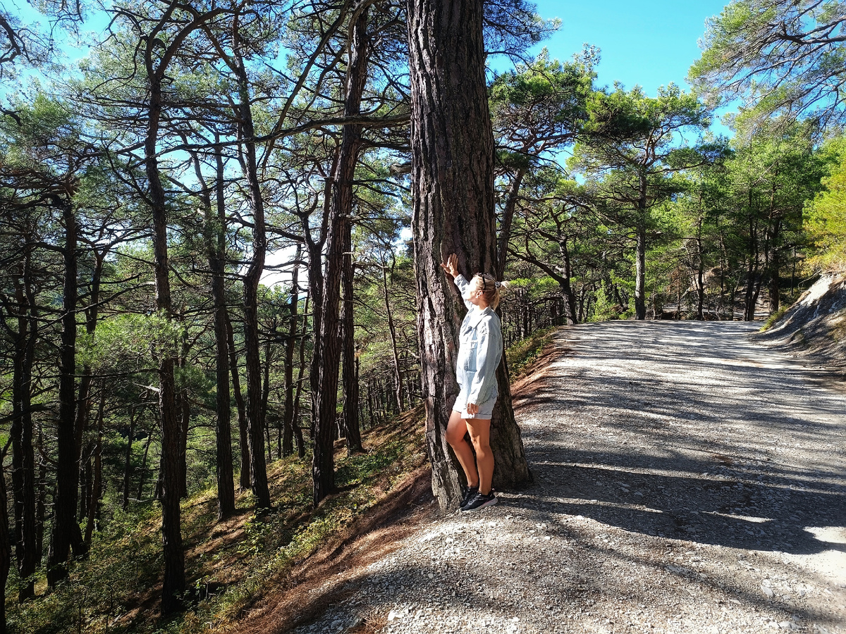 Дорога к Бездне волшебна