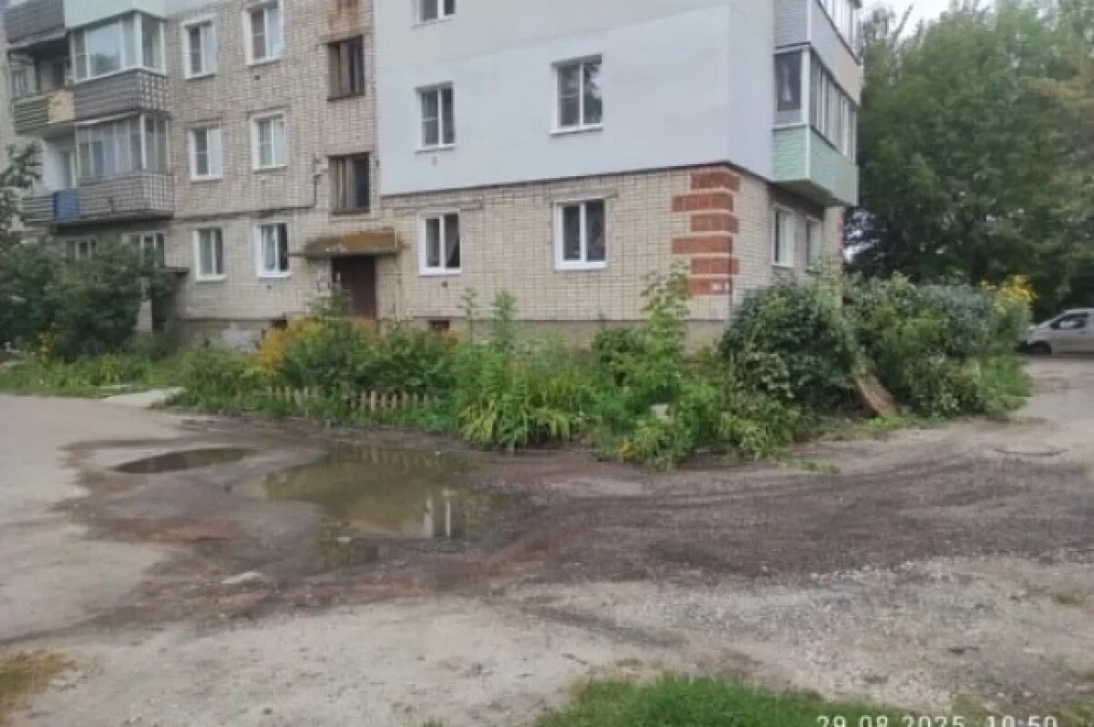    Во Владимире управляющие компании обязали привести дворы в порядок