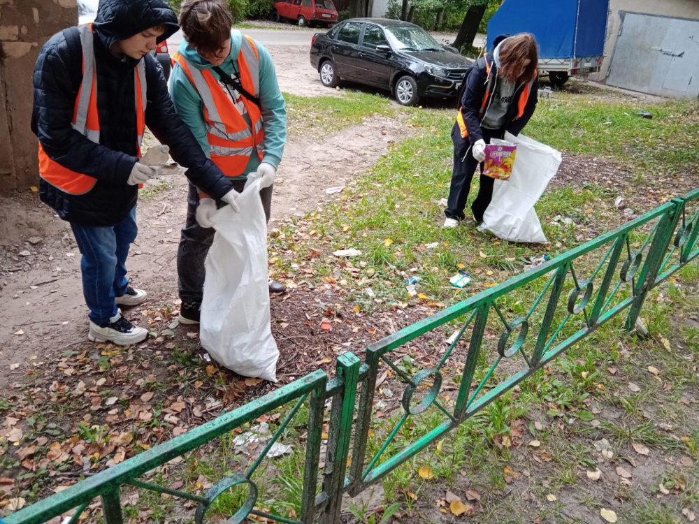    grad.kostroma.gov.ru