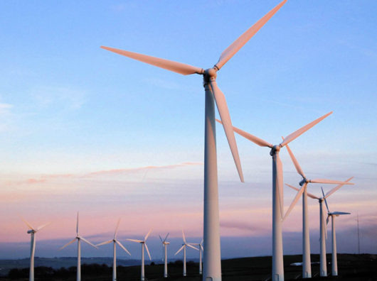    ветропарк //фото с сайта rg.ru