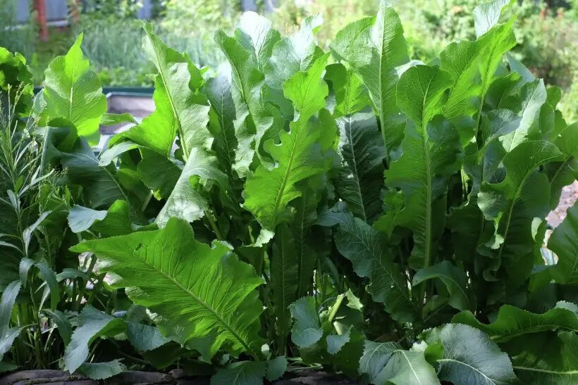     © РИА Новости. Ольга Головко