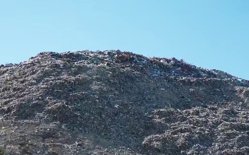    Фото: пресс-служба администрации Новороссийска