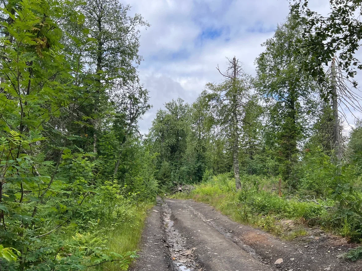 Пермский край. Фото автора