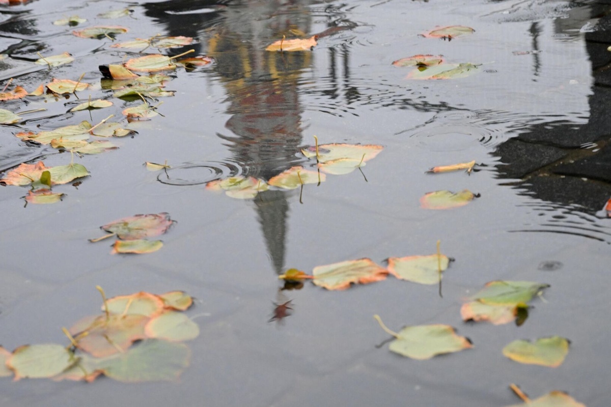    Фото: Евгений Биятов, источник: ria.ru