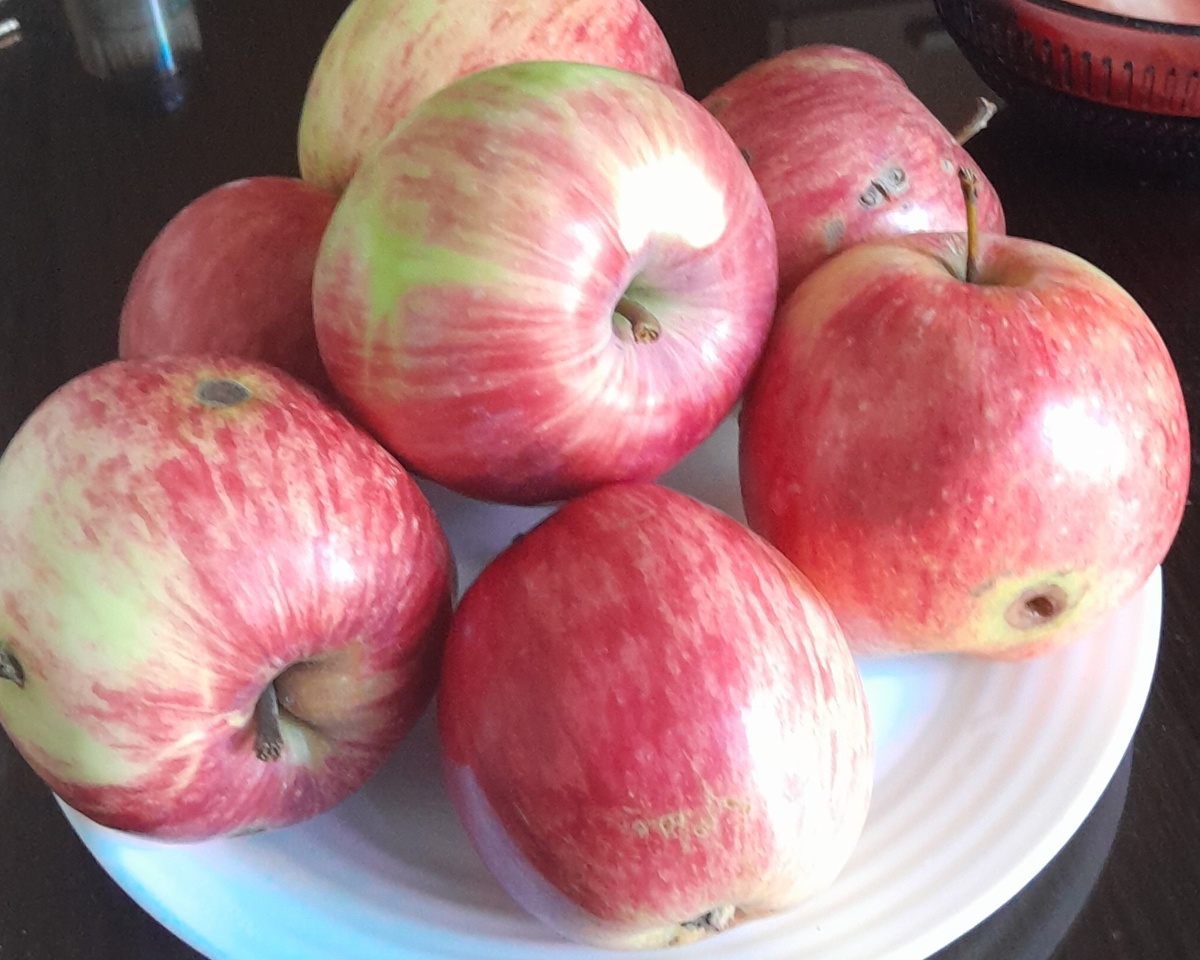 Яблочки из Коломенского. Невозможно удержаться, беру с собой пакет