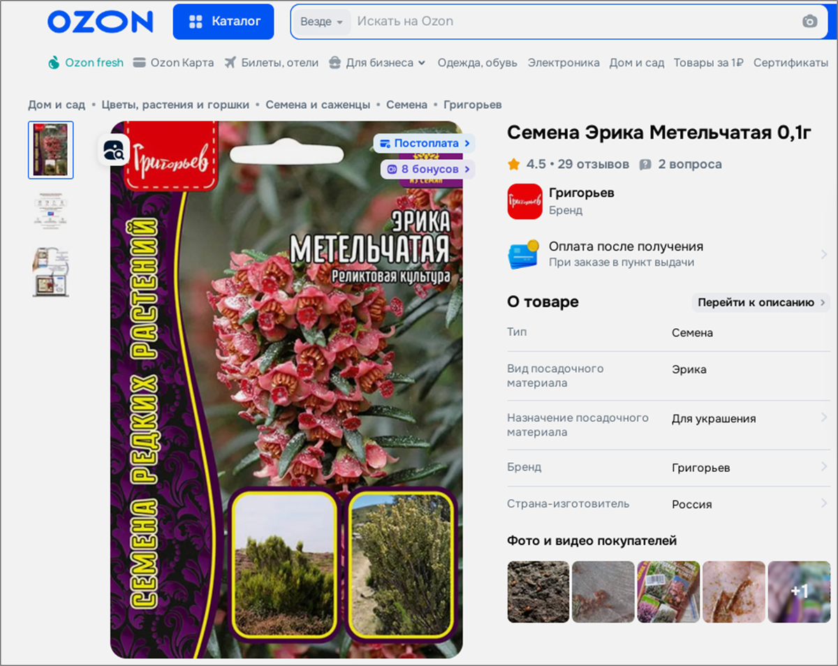 ozon.ru/product/semena-erika-metelchataya-0-1g-1775080352/?at=K8tZO258vCVjmWyUOGJV9oIrXogkyFmWW3NAs833njk