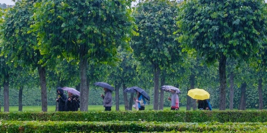    Алёна Бобрович