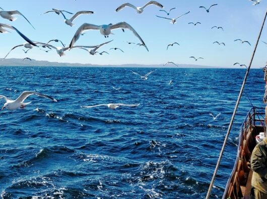    зачастую рыбу ловят на устаревших судах // фото: fish.gov.ru, regnum.ru