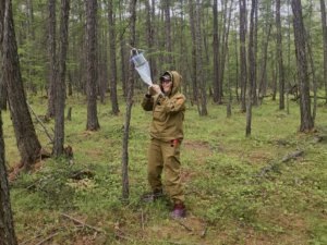    Фото: пресс-служба филиала ФБУ «Рослесозащита» «ЦЗЛ Республики Бурятия»