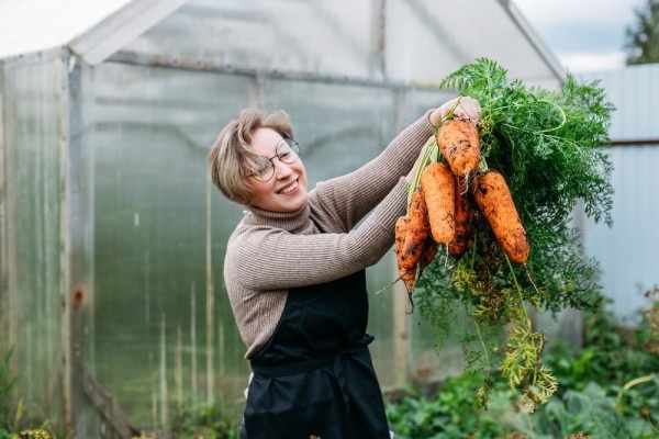 Источник фото shutterstock.com