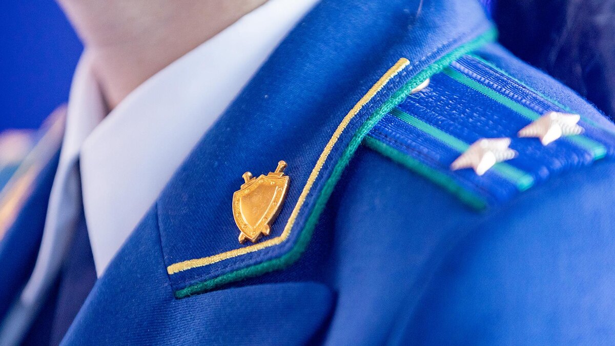    Фото: Aleksey Smyshlyaev/globallookpress.com