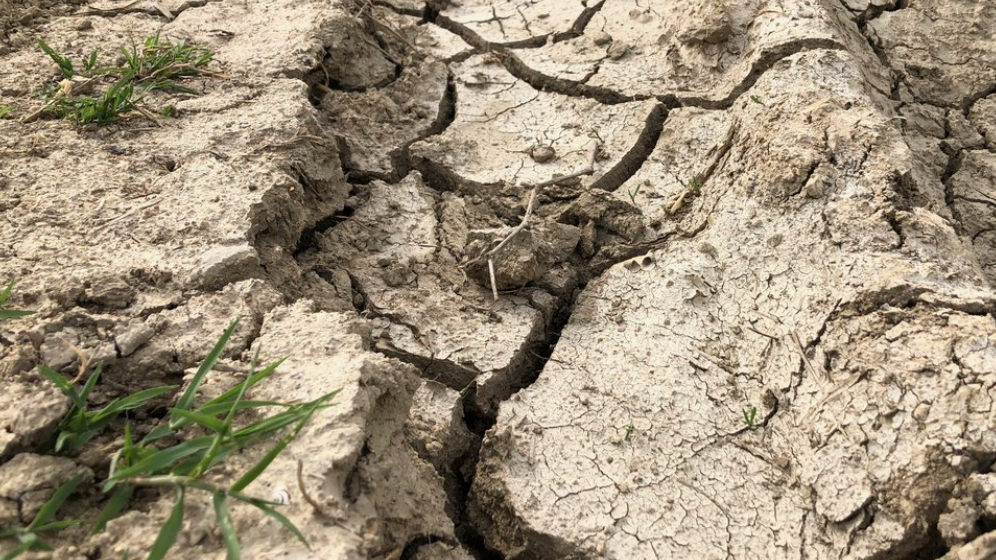Так выглядел мой участок в октябре - типичная мертвая глина без признаков жизни