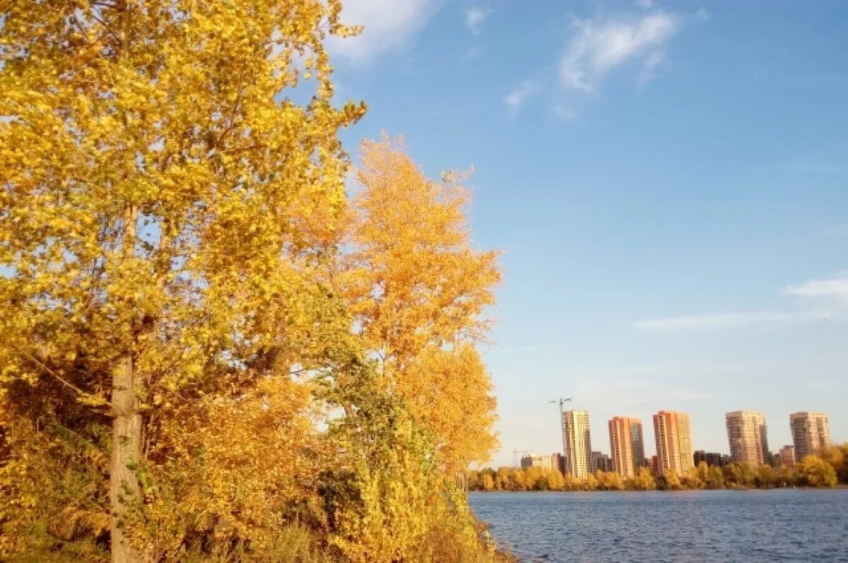    Политолог Чернявский ответил, кто может стать новым мэром Красноярска