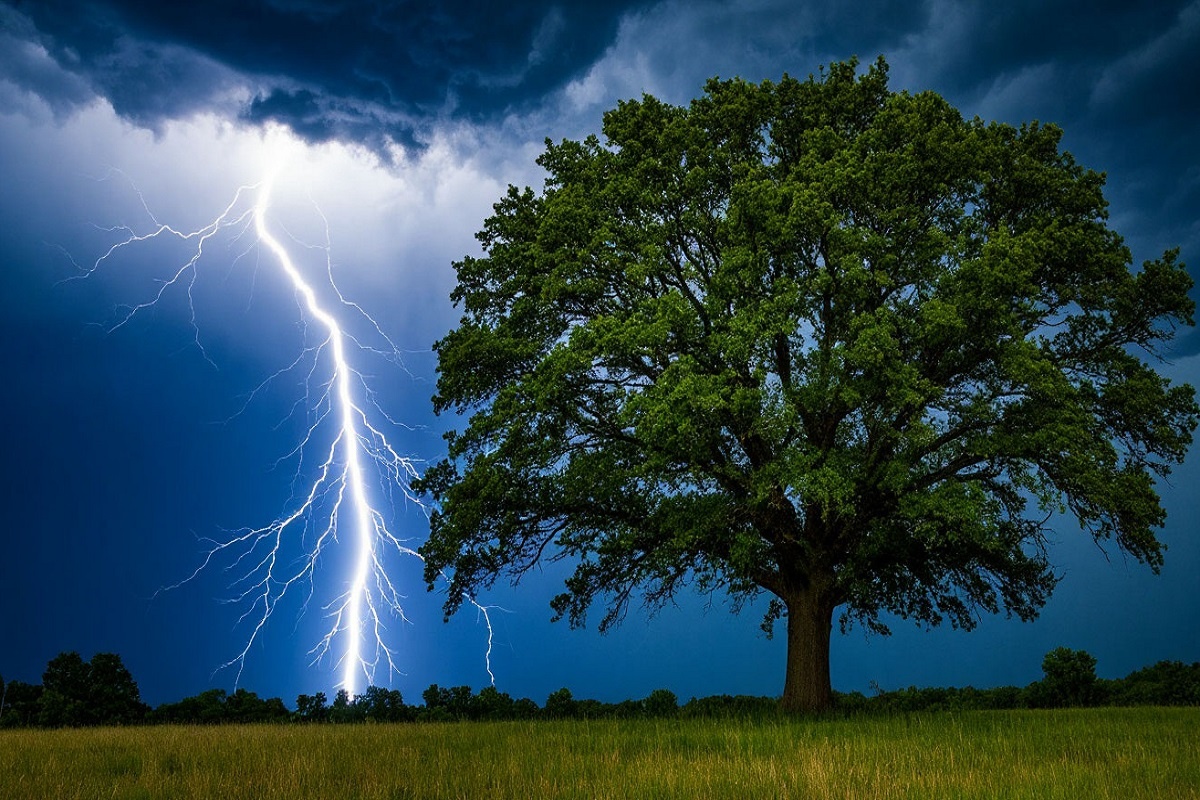    Фото: нейросети, источник: shedevrum.ai