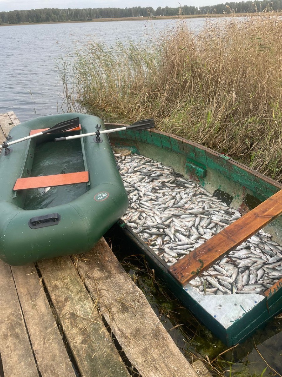 Фото: пресс-служба министерства экологии Челябинской области