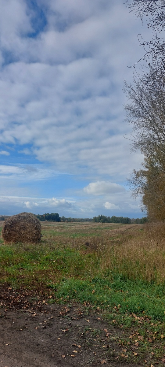 Я здесь. В засаде.
