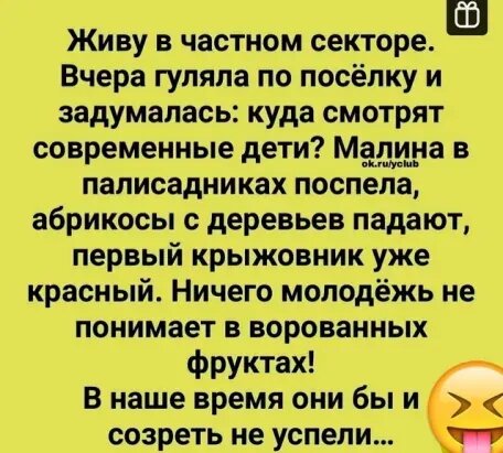 Источник: соцсети