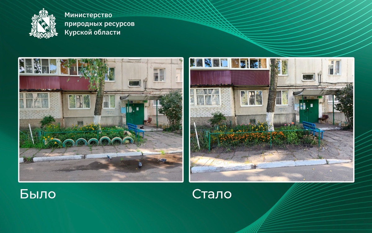 Фото: Минприроды Курской области